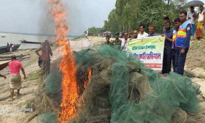 চৌহালীতে অবৈধ চায়না দুয়ারী পুড়িয়ে ধ্বংস