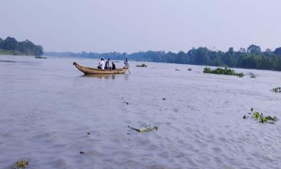 হালদার পানি লবণাক্ততায় হুমকিতে মাছের প্রজনন