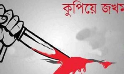 বুড়িচংয়ে পিকআপ চালককে কুপিয়ে আহত