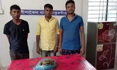 রাণীশংকৈলে গাঁজাসহ তিনজন আটক 