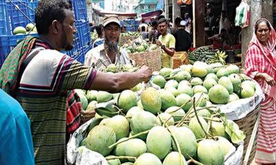 সাতক্ষীরায় আমের সরবরাহ বাড়ায় দামে লোকসানের আশঙ্কা 