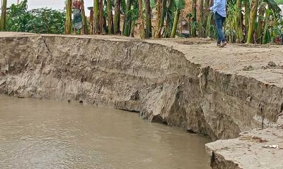 ইসলামপুরে যমুনার ভাঙন আতঙ্কে এলাকাবাসী 