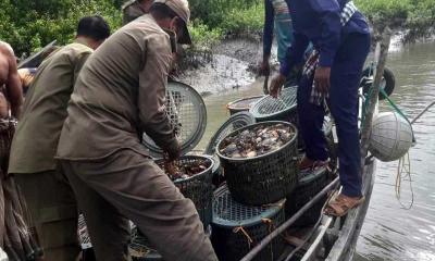 সুন্দরবন থেকে ১৫ মণ কাঁকড়াসহ ২৬ জেলে আটক 