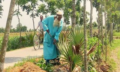 বৃদ্ধ খোরশেদের ৫২ হাজার তালগাছ রোপণ