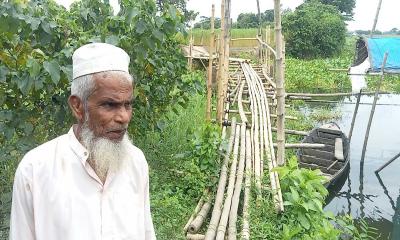 তিতাসে ঝুঁকি নিয়ে বাঁশের সাঁকোর পারাপার 