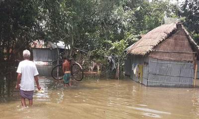 লালমনিরহাটে পানি বেড়ে বিপাকে তিস্তাপাড়ের মানুষ 