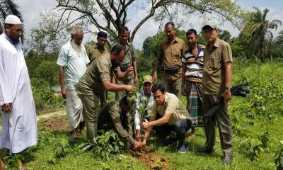 ভালুকায় জবরদখলীয় বনভূমি উদ্ধার 