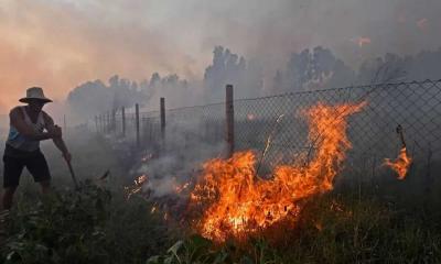 আলজেরিয়ায় ভয়াবহ দাবানলে ১০ সৈন্যসহ নিহত ৩৪