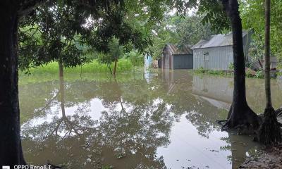 কটিয়াদির পাচঁলিপাড়ায় পানিবন্দী শতাধিক পরিবার