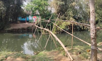 দোয়ারাবাজারে ব্রিজ না থাকায় বিপাকে ১০ গ্রামের মানুষ