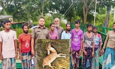 সুন্দরবনে থেমে নেই হরিণ শিকারিদের অপতৎপরতা