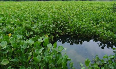 দুর্ভোগে তিন শতাধিক ছাত্র-ছাত্রীসহ ৭ গ্রামের মানুষ