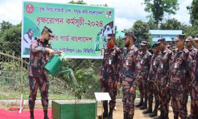 মাটিরাঙ্গায় বিজিবির উদ্যোগে বৃক্ষরোপণ কর্মসূচি  