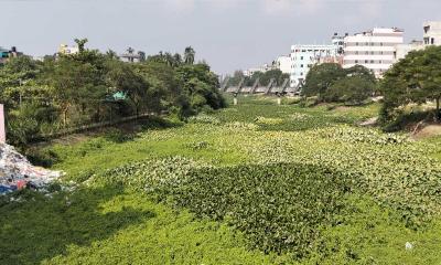 দখল-দূষণে অস্তিত্ব সংকটে নরসুন্দা নদী