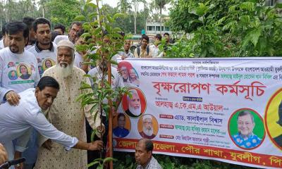 আ.লীগের প্রতিষ্ঠাবার্ষিকীতে যুবলীগের বৃক্ষরোপণ 