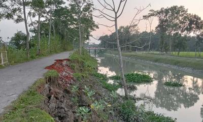 ধানসিঁড়ি নদীগর্ভে যাচ্ছে গ্রামীণ রাস্তা উদ্বিগ্ন এলাকাবাসী 