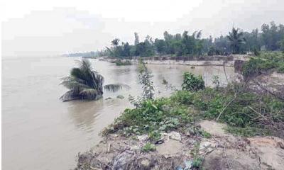 টাঙ্গাইলে যমুনার অরক্ষিত ১৬শ মিটারে তীব্র ভাঙন