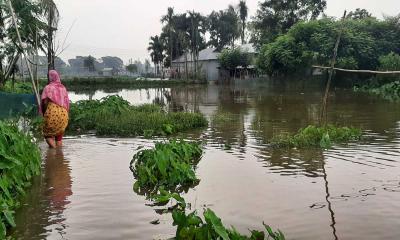 ফুলপুরে দুই যুগেও হয়নি পৌর বিলের পানি সমাধান 