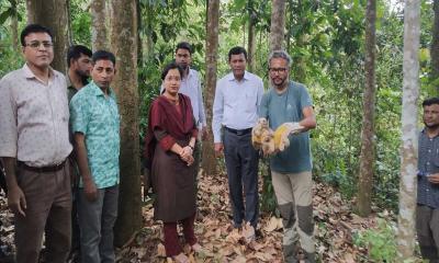 মাটিরাঙ্গায় বিপন্ন প্রজাতির লজ্জাবতী বানর বনে অবমুক্ত 