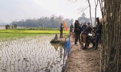 আখাউড়া সীমান্তে কৃষকের সবজি গাছ কাটলো বিএসএফ