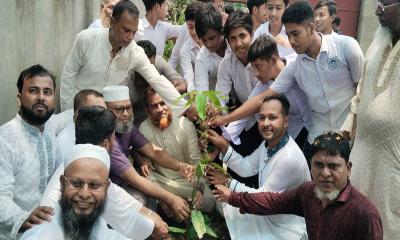 মুন্সীগঞ্জে বৃক্ষরোপণ কর্মসূচি 