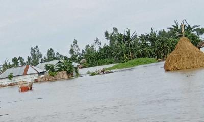 গরু-মহিষ ডাকাতির ভয়ে রাতকাটে বন্যা কবলিত চরের মানুষের 