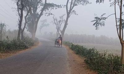 আবারও শৈত্য প্রবাহের কবলে চুয়াডাঙ্গার জনপদ