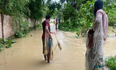 ফেনীতে বন্যায় ভাসল ৩২৫টি পুকুর মৎস্যখাতে ব্যাপক ক্ষতি