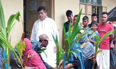 মহেশখালী পৌরসভায় নারিকেল চারা বিতরণ 