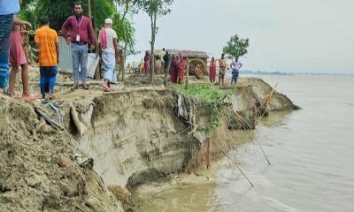 ভূঞাপুরে যমুনার ভাঙনে বসতভিটা হারিয়ে নিঃস্ব অসংখ্য পরিবার