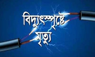 মোল্লাহাটে বিদ্যুতস্পৃষ্টে ঘের শ্রমিকের মৃত্যু 