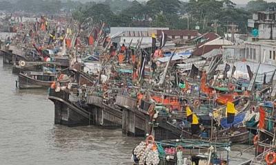 শুরু হলো ইলিশ শিকারে ২২ দিনের নিষেধাজ্ঞা