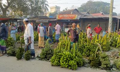 Tk crore bananas sell in a day in Bajitpur