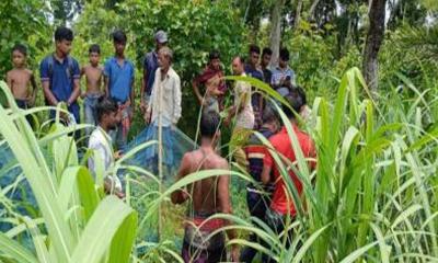 মহেশপুরে তৃতীয় শ্রেণির ছাত্রীকে ধর্ষণের অভিযোগ