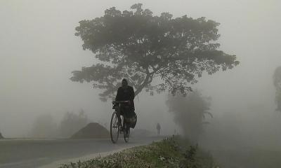 কুয়াশায় মোড়ানো নাগেশ্বরী