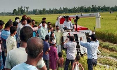 পীরগাছায় সমলয়ে চাষ করা বোরো ধান কর্তনের উদ্বোধন