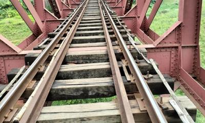 Bamboo used on railway bridges