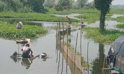 শালিখার কালিদাশখালী-আড়পাড়া খাল প্রভাবশালীদের দখলমুক্তের দাবি 