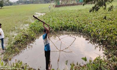 কিশোরগঞ্জে বৃষ্টির নতুন পানিতে ধরা পড়ছে দেশীয় মাছ