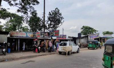 প্রতারণার মাধ্যমেই জমজমাট পাখির মাংস বিক্রি